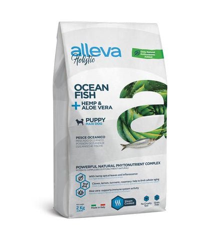 pic2 480x480 pic2 480x480