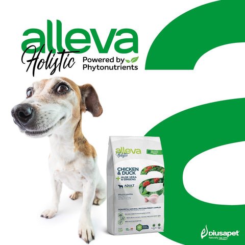 VISUAL 480x480 VISUAL 480x480