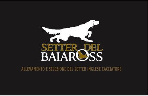 WhatsApp Image 2020 07 20 at 10.11.31 large WhatsApp Image 2020 07 20 at 10.11.31 large