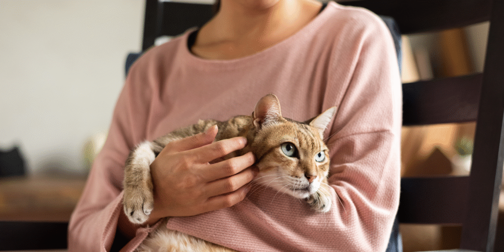 donna che calma il proprio micio per mettere correttamente antiparassitario gatti