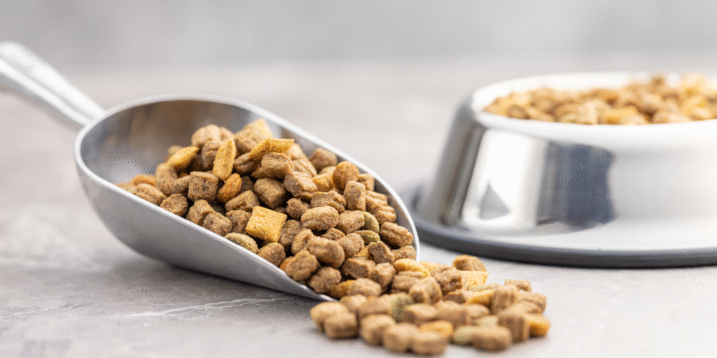 scelta delle materie prime crocchette gatto alleva per una dieta equilibrata