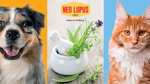 cane e gatto con prodotti naturali Neo Lupus per il pet care