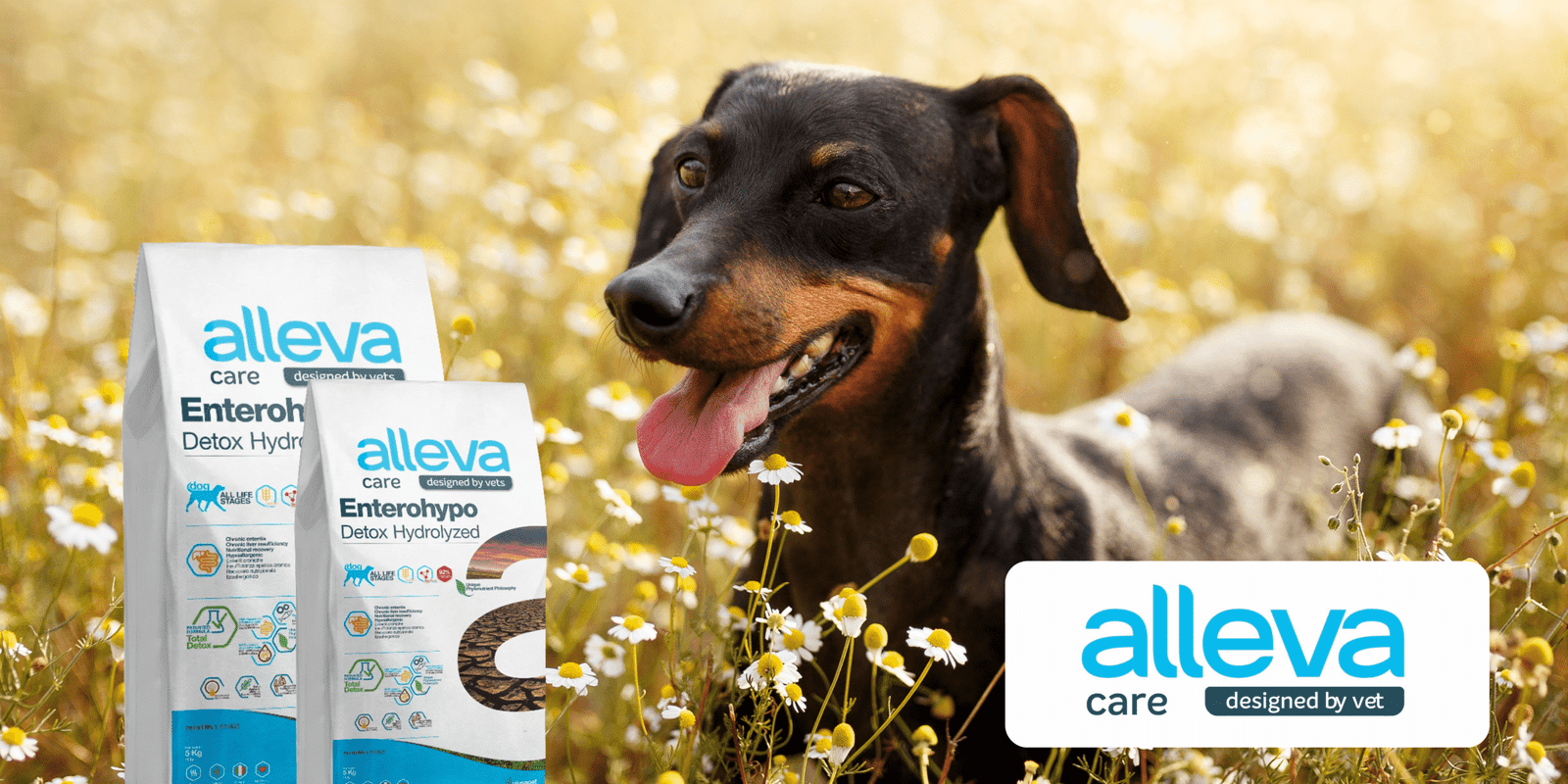 crocchette per cani con problemi intestinali linea alleva care