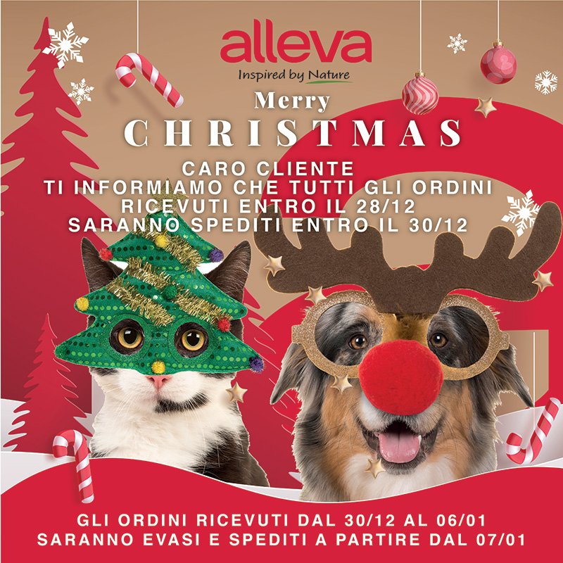 e shop buone feste 800 800