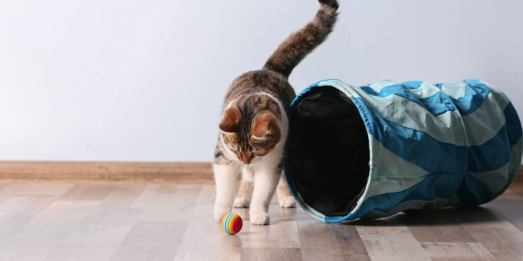 giochi interattivi gatto da fare in casa
