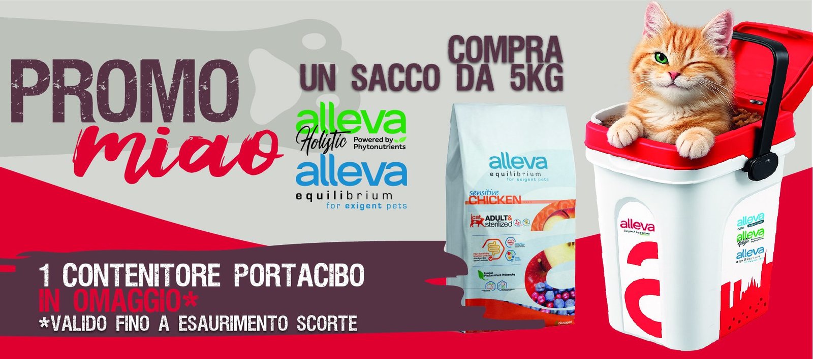 IT e shop banner cat bin