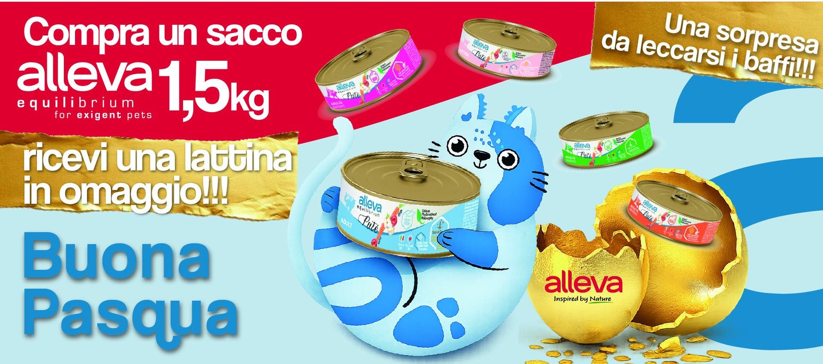 IT e shop banner ester cat