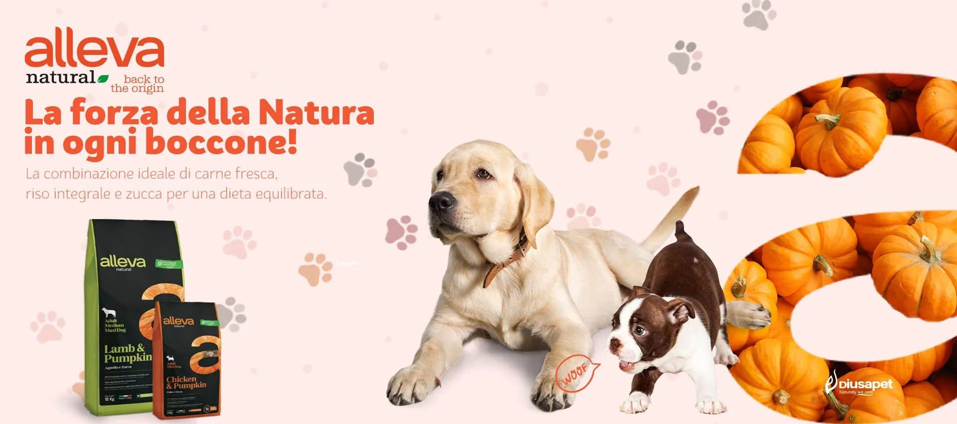 Natural banner 1920x850 copia