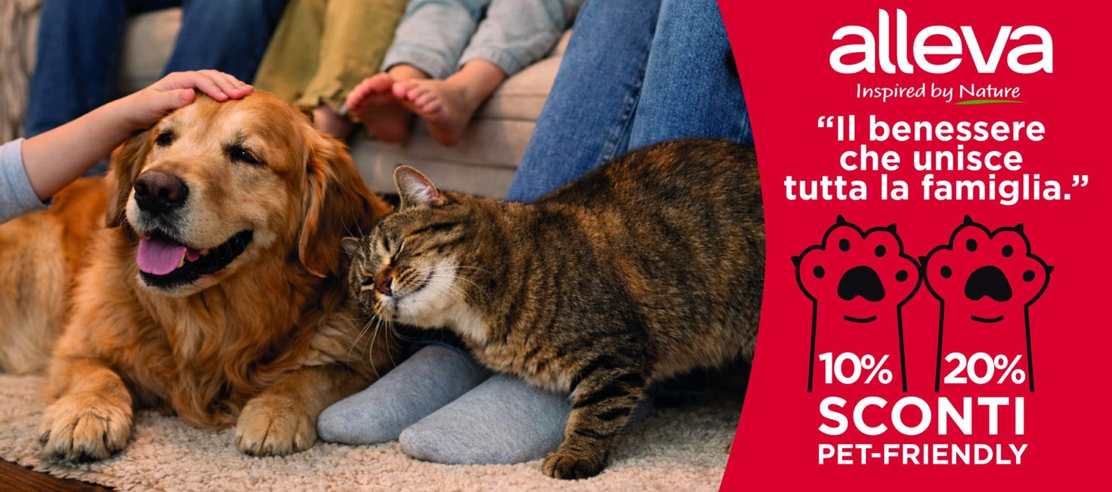 banner 10 20 sales 01